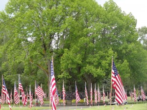 chestnut tree mills and mills