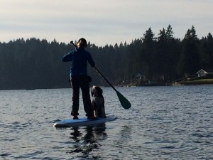 paddle board olympia