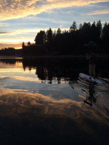 paddle board olympia