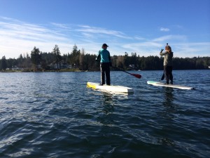 paddle board olympia