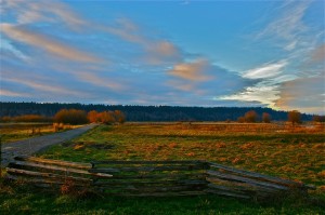 nisqually wildlife refuge