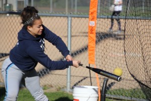 olympia softball