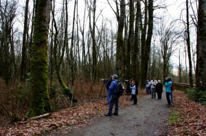 nisqually wildlife refuge