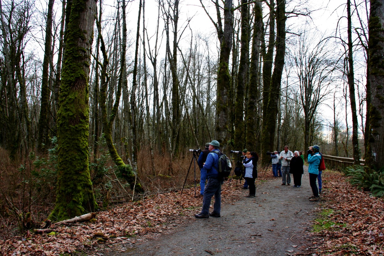 nisqually wildlife refuge walk nisqually wildlife refuge