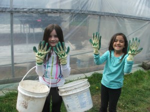 grub volunteer