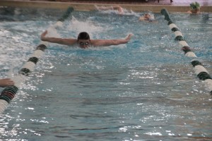 alex wright swimming