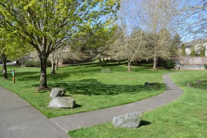 Residents in the established Rob Rice community of Jackson Farms enjoy a lush picnic and walking area.