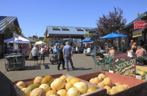 olympia farmers market