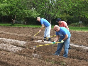 grub volunteer