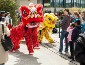 dragon boat festival