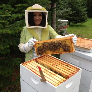 olympia beekeeper