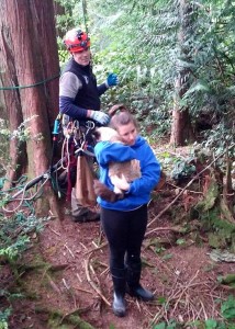 canopy cat rescue