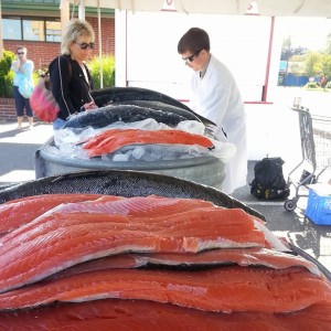 copper river salmon