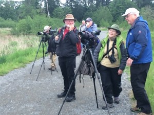 birding olympia