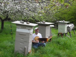 olympia beekeeper