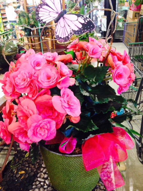 Thriftway Mothers Day Flower Gift mothers day olympia