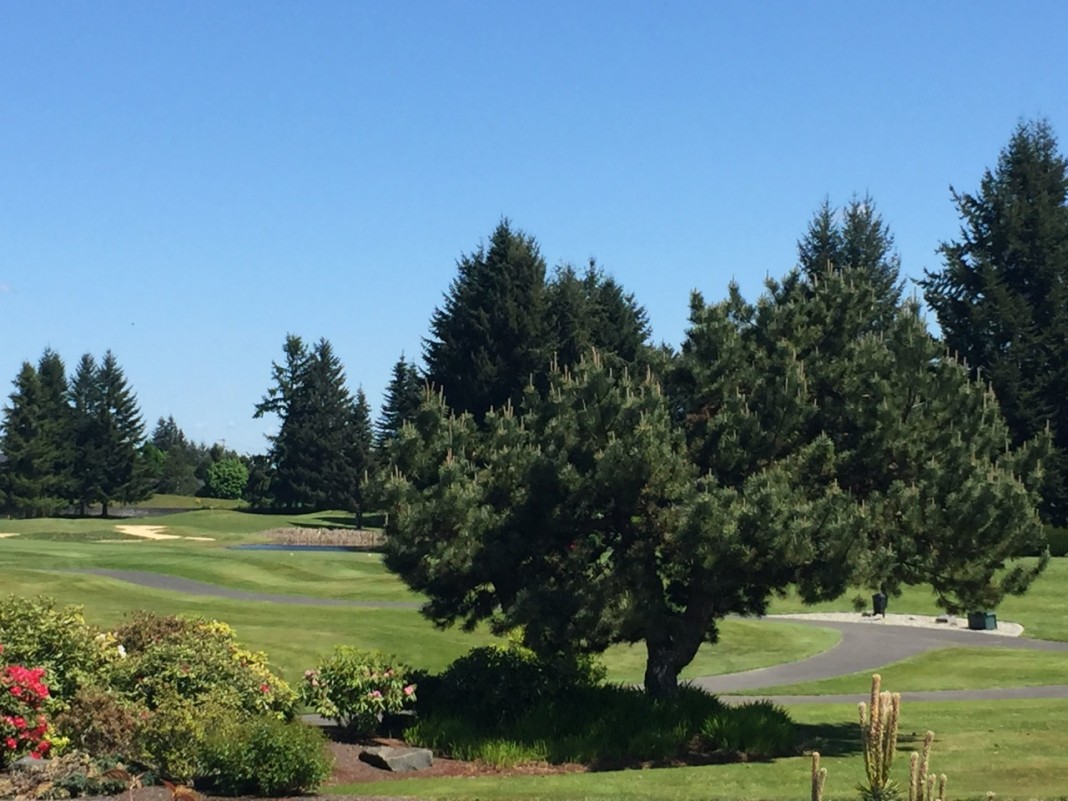 olympia golf course