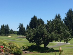 Lacey Midday Lions Business Meeting @ Indian Summer Golf and Country Club | Olympia | Washington | United States