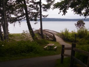 tolmie state park