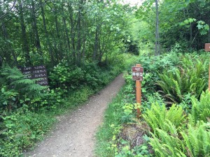 horse trail capitol forest