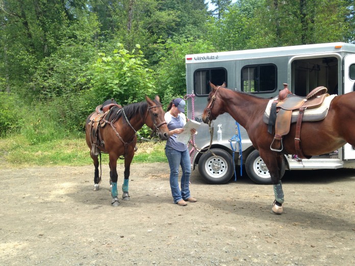 horse trail capitol forest