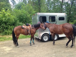 horse trail capitol forest