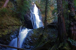 hood canal things to do