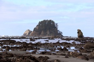 ozette hiking