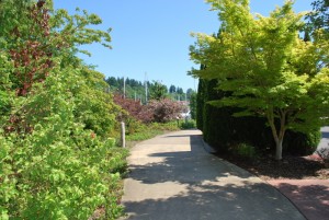 swantown marina