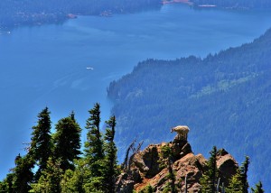 lake cushman camping