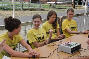 thurston county fair