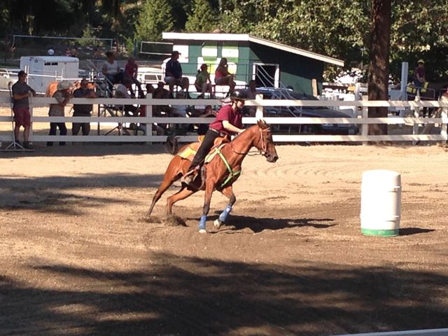 thurston county fair 4h horse thurston county fair