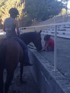 thurston county fair