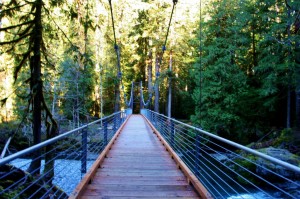 hood canal hikes