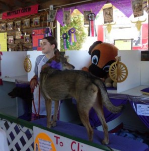 thurston county fair