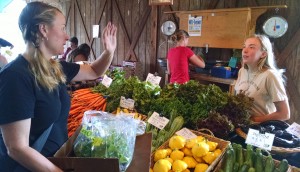 olympia farmers market