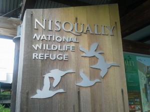 nisqually wildlife refuge