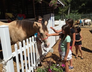 Thurston County Fair