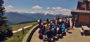 Park visitors enjoying a ranger talk and the sights from Hurricane Ridge in Olympic National Park.