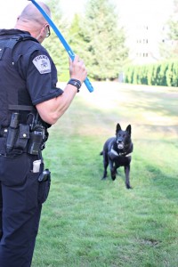 Otis' specialty is sniffing out narcotics, however, he's pretty good at a game of fetch, too.