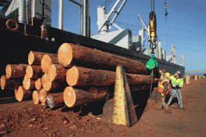 Port of Olympia logs