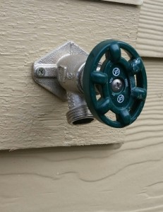 Be sure your hose is disconnected to protect against damage from freezing.