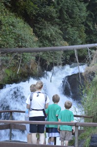 tumwater falls river walk tour
