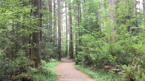 evergreen trail bike path