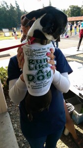 People and pooches of all sizes turn out for the annual run. This year they expect to reach 450 runners.