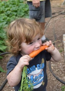 Urban Futures Farm offers a kid-friendly experience.