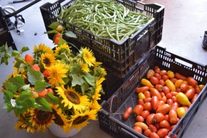Stop by the farm stand for delicious produce and beautiful blooms.