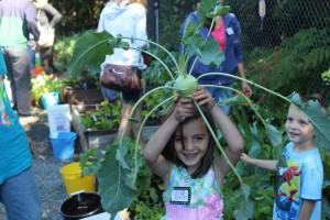 Franny wins the competition to harvest a kohlrabi.