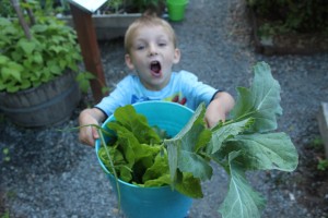 Stephen holds a harvest bucket up for all to see.