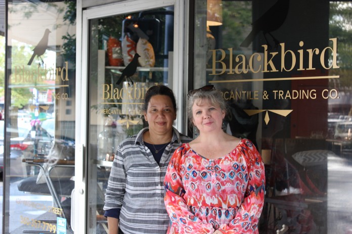 Blackbird4